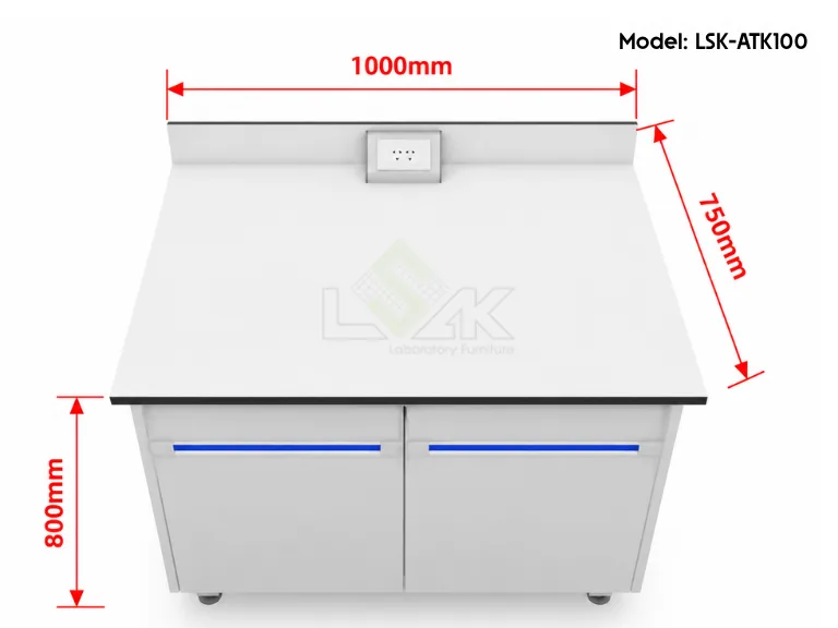 Bàn thí nghiệm áp tường dạng hộc tủ kín dài 1000mm LSK-ATK100