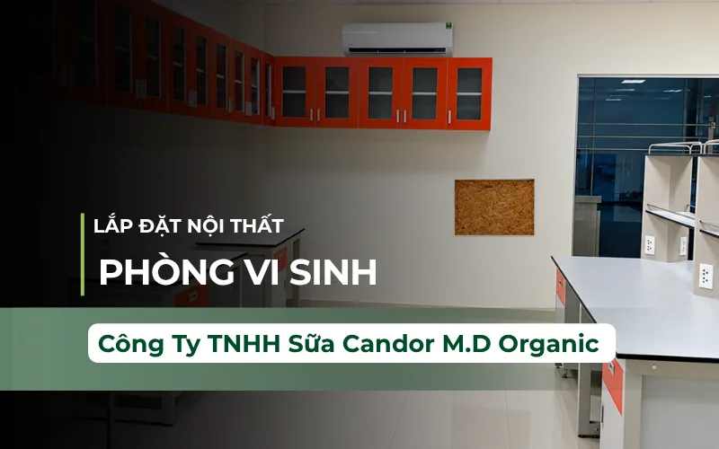 Thi Công Công Ty TNHH Sữa Candor M.D Organic Trảng Bàng