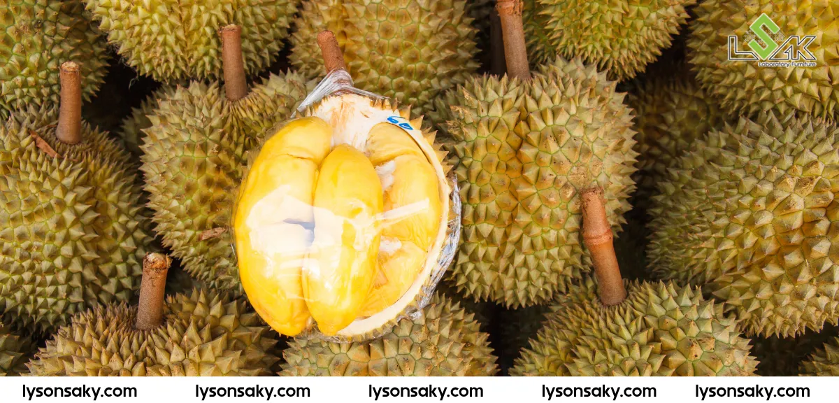 Nhung noi dung trong yeu cau kiem nghiem sau rieng xuat khau trung quoc