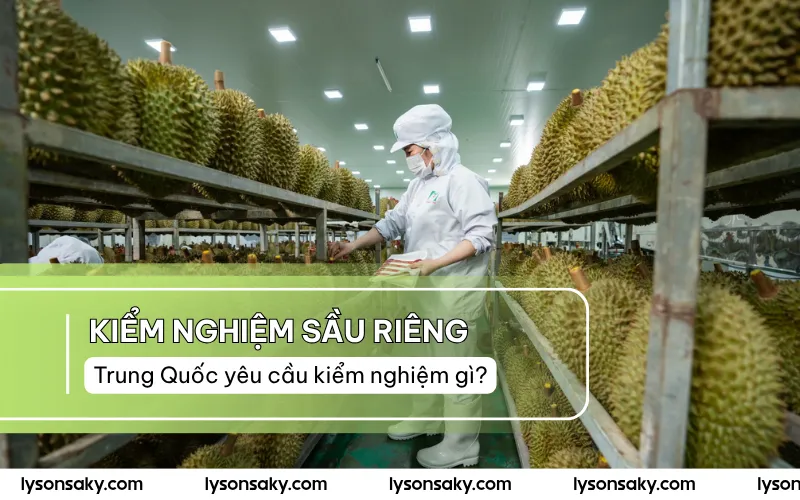 Yeu cau kiem nghiem sau rieng xuat khau trung quoc quy dinh gi
