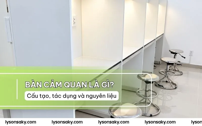 Bàn Cảm Quan Là Gì? Cấu Tạo, Tác Dụng Và Nguyên Liệu