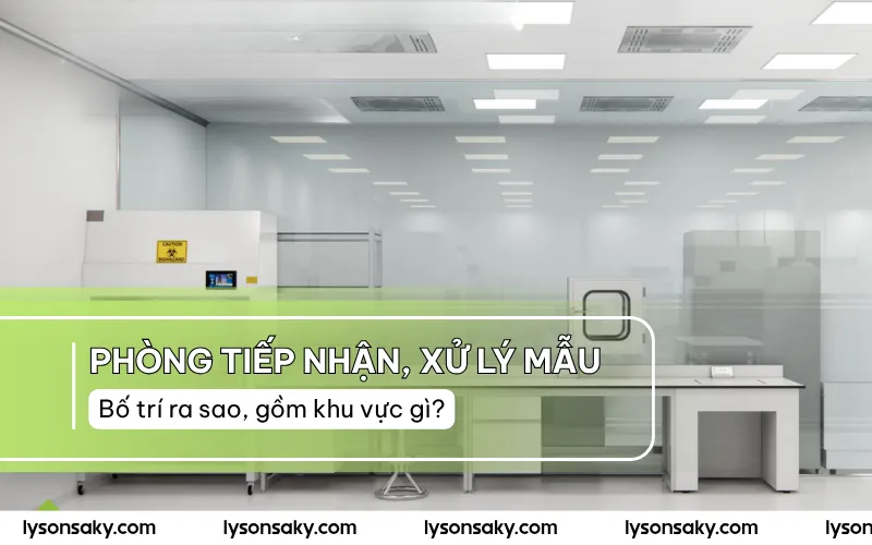 Phong tiep nhan xu ly mau bo tri ra sao